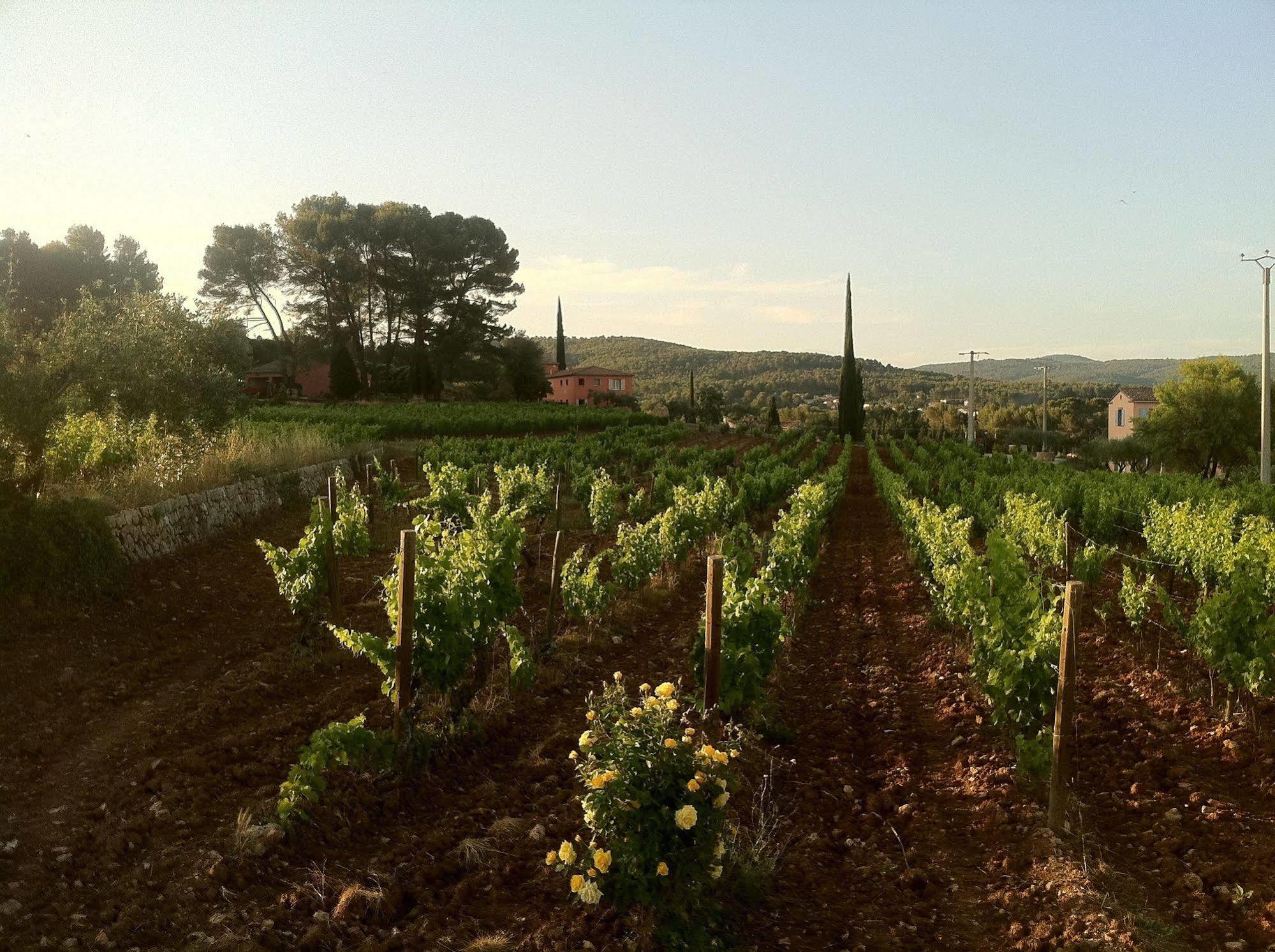 Domaine Rabiega Hotel Flayosc Екстериор снимка